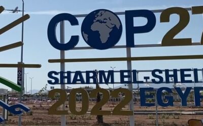 Victoria fósil en Sharm El-Sheikh: sólo queda la lucha